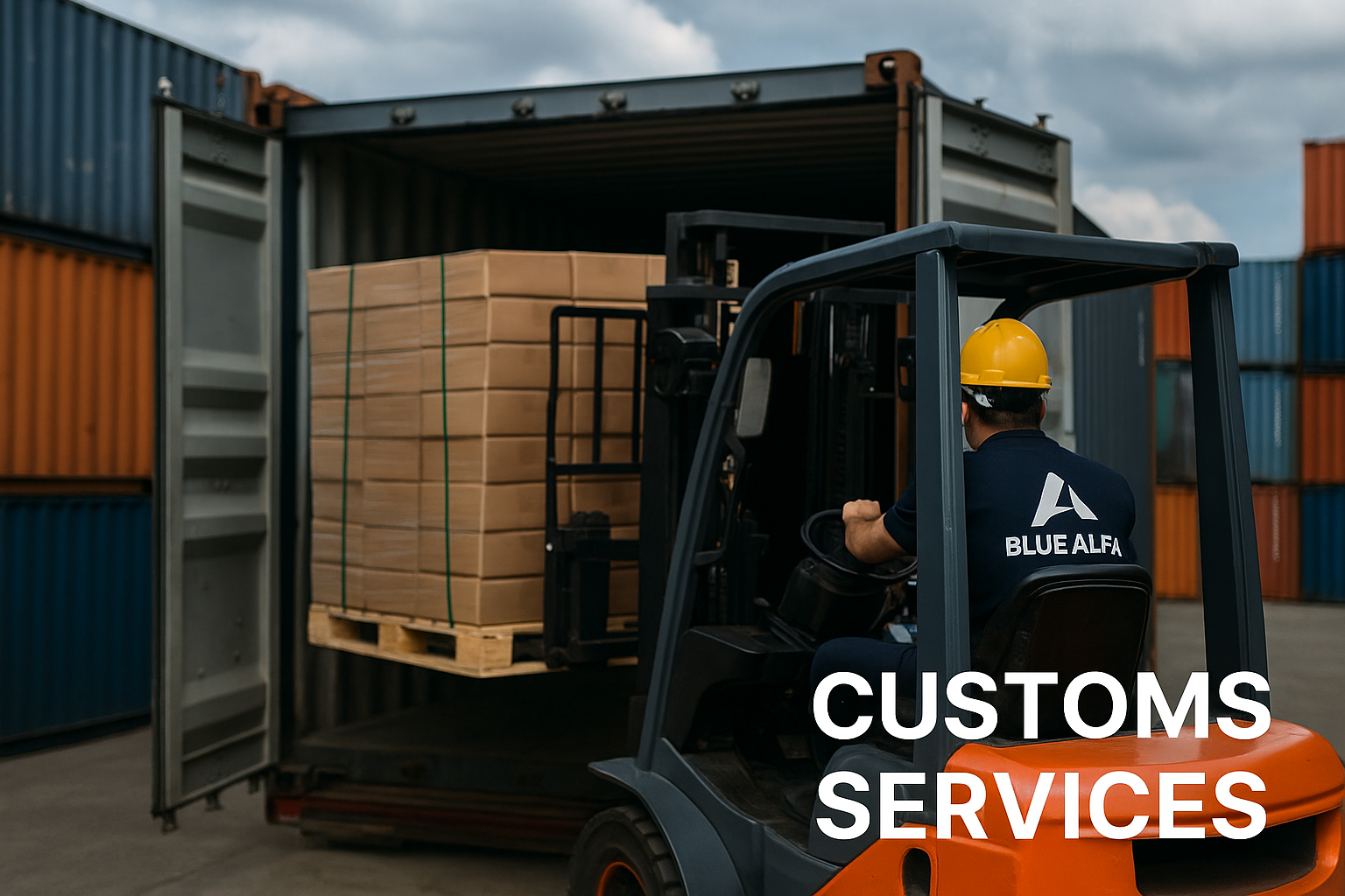 Customs Services in Mersin