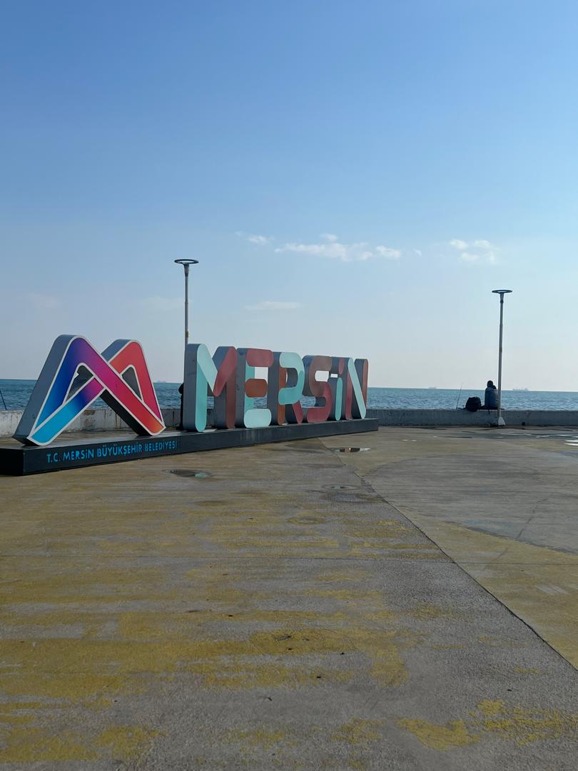 Mersin International Port cranes and container vessel